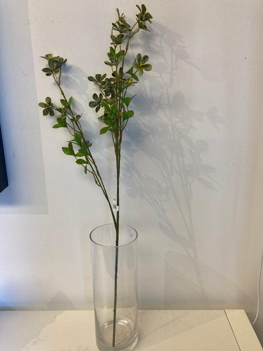 Green Plum Flower Stem